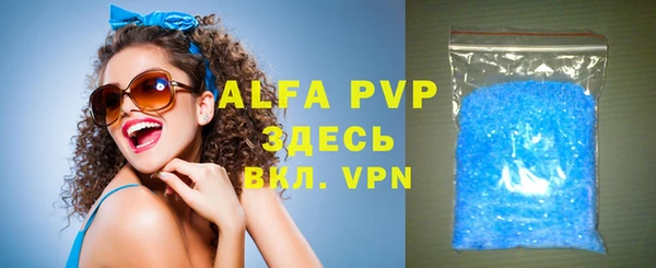 шишки Белокуриха