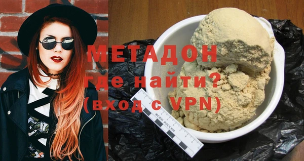 шишки Белокуриха