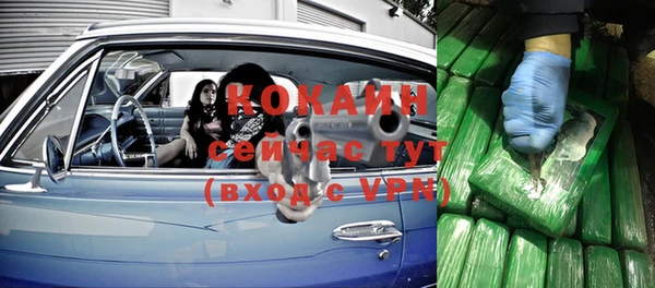 шишки Белокуриха