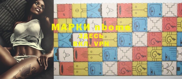 шишки Белокуриха