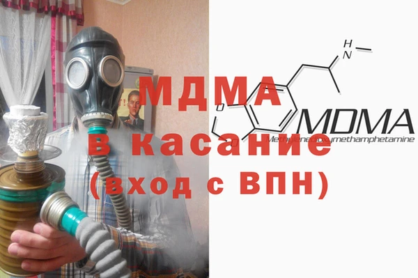 шишки Белокуриха
