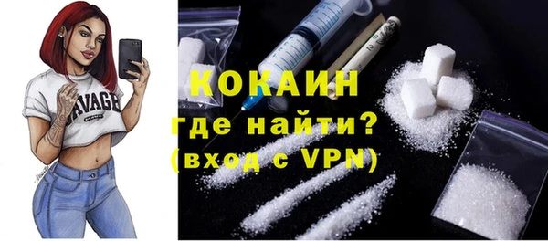 шишки Белокуриха